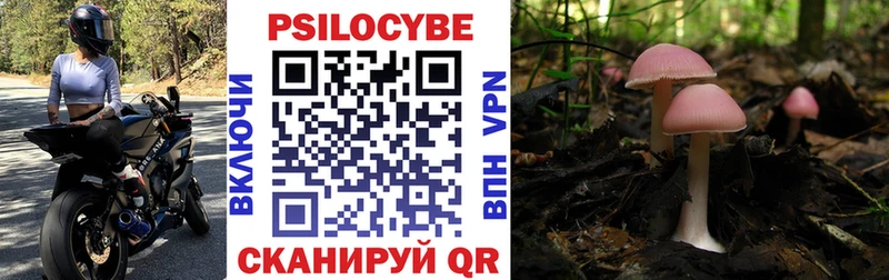 как найти   Магас  Галлюциногенные грибы мухоморы 
